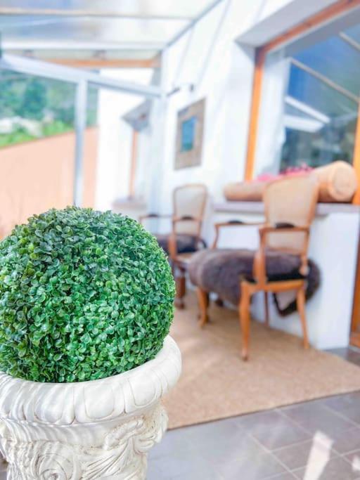 Tipica Casa Andorrana En Encamp L By Bonesvacances Eksteriør billede